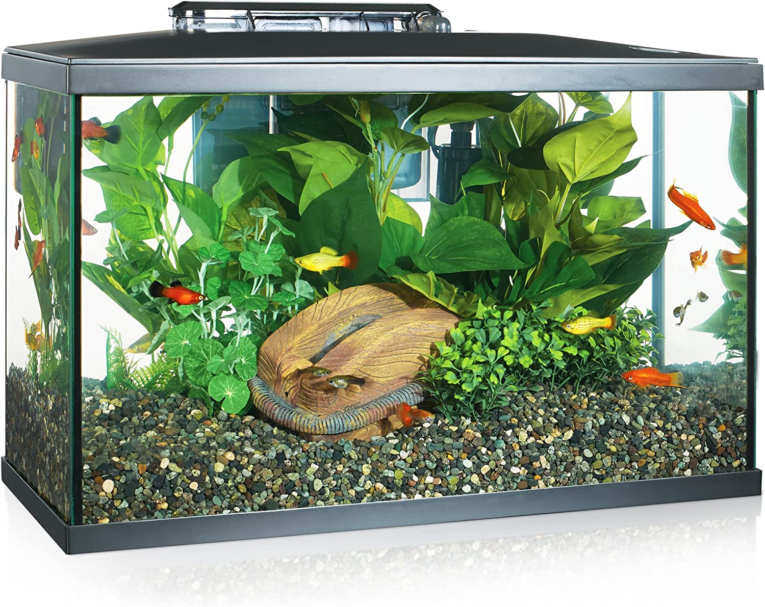 chollo Marina 15256 - Kit de Acuario con Iluminación LED 10G, 38 L, Transparente